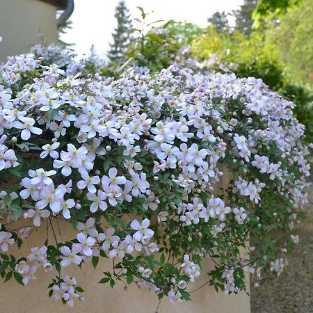 Le Clos Fleuri Giverny Exterior foto